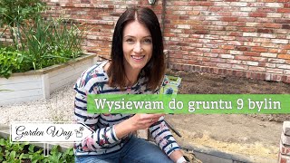 VG#50 Totalna porażka - co z nieudaną rabatą??? Wysiew 9 bylin do gruntu