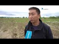 Семейная ферма Николая Геннадьевича Пака село Полетное Хабаровский край