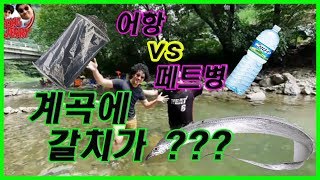 어항 vs 페트병 1급수 계곡 물고기 잡기 레전드 대결 (Fishing Trap in a valley)