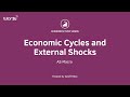 External Shocks and Economic Cycles