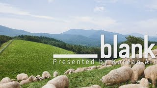 🎧 Daegwallyeong Yangtte(sheep) Farm, Gangwon-do // 강원도 대관령 양떼목장 [blank]