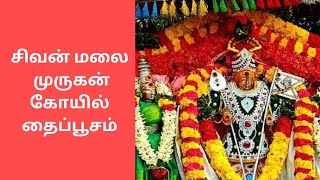 சிவன்மலை முருகன் கோயில் தைப்பூசம் கொடியேற்றம் |SivanMalai Murugan temple #thaipusam #murugan