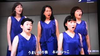 合唱団　シグナス’９４　待ちぼうけ（テレビ出演記念）