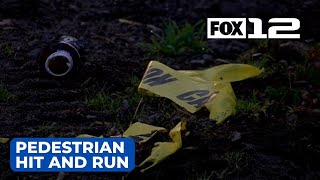 Mother of woman critically injured in Battle Ground hit and run demands justice