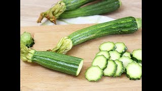 Zucchine Scopri le 10 Ricette Veloci e Sfiziose da Portarle in Tavola