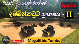 ඉබ්බන්කටුව පූර්ව ඓතිහාසික සොහොන්-2, Megalithic burials, Urn burial, Megalithic Cemetery, Ibbankatuwa