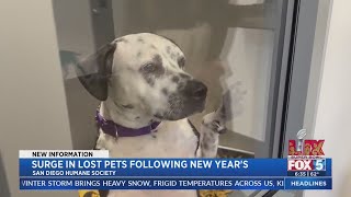 SD Humane Society rolling out emergency kennels for influx of animals after NYE