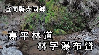 嘉平林道：林字瀑布聲