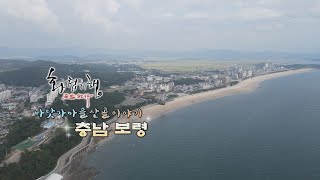 화첩기행 바닷가 마을 산골 이야기 - 보령