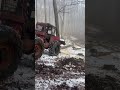 tree crusher in action 😱🌲💥 beautiful tractors power tractor forestfarming farming woodworking