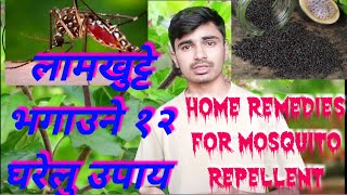 लामखुट्टे भगाउने  घरेलु उपाय  //१२ उपाय // Home Remedies for Mosquito Repellent🦟 // Sunit Bhatt