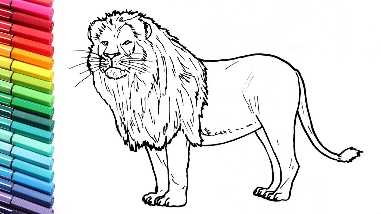 How To Draw A Lion - Learning Wild Animals Color Pages For Kids ...