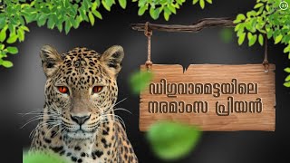 The Assassin Of Diguvametta|Kenneth Anderson|Hunting Story|ഡിഗുവാമെട്ടയിലെ പുള്ളിപ്പുലി|വേട്ടക്കഥ|