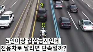 논란의 카니발! 버스전용차로 과연 단속일까? 아닐까?