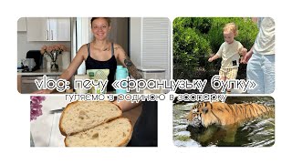 Vlog: usa | печу «французьку булку» | багато готую| гуляємо в зоопарку