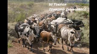 Dj Torsion izinkomo zamalobolo