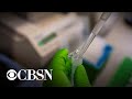 Scientists edit genes inside the body using CRISPR