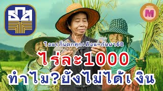 สรุปเงินไร่ละ 1,000 ชาวนาได้รับเงินรอบเก็บตกทุกเดือน ยาวๆถึง 3กันยายน68 รีบเช็กก่อนพลาดซ้ำ2