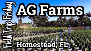 Field Trip Friday- AG Farms (Homestead, FL)