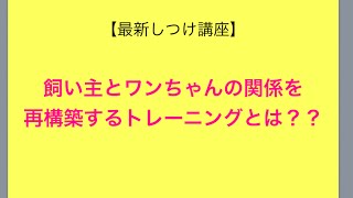 飼い主とワンちゃんの関係を再構築するトレーニングとは？