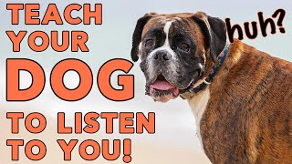 How to Teach Your Dog to Listen to You - Obedience Made Easy