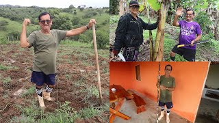REMOVING STRAW FROM THE BANANA TREE AND PLANTING CUT GRASS