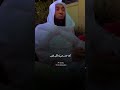 هل النضج يجعل الانسان أناني ؟ سنابات بدر المشاري النضج الشيخ بدر المشاري