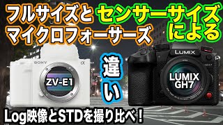 【センサーサイズで違いは？】動画に強いカメラ、映像で違いを比較検証【SONY ZV-E1、LUMIX GH7】1151日