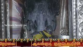 Gurupeyarchi Alangudi Guru Temple live