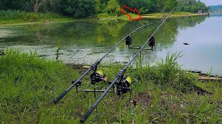 Carnada y Linea para pescar CARPAS , Esperando el GRAN pique Pesca GIGANTE, mucha ACCION!!