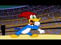 Woody Woodpecker | The Contender + More Full Episodes