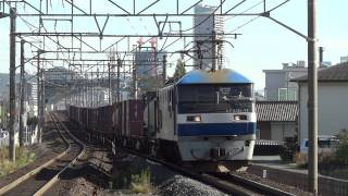 JR貨物 EF210-11 貨物列車(5085レ 桃太郎 基本番台) 東海道本線 西岐阜駅