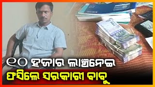 10ହଜାର ଲାଞ୍ଚ ନେଇ ଫସିଲେ ସରକାରୀ କର୍ମଚାରୀ ||KALAHANDI NEWS