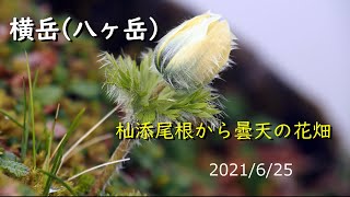 横岳（八ヶ岳）杣添尾根からピストン