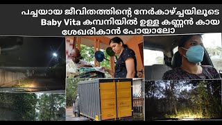 day in my life /our dhanyas world/babyvita banana powder malayalam/baby vita factory/ food products