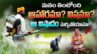 మనం తినేది ఆహారమా? విషమా? | Dangers of Pesticides | Endosulfan Tragedy | Pesticides in Food | Telugu