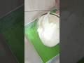 Cara Membuat Bolu Kukus Pandan #shortvideo #shorts #short #bolu #bolukukus #bolukukuspandan