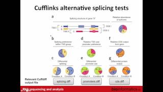 Isoform Discovery and Alternative Expression