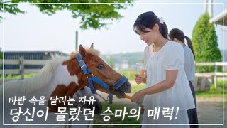 [경기바다 Family] 궁평캠프의 숨겨진 보물, 승마의 세계로 여러분을 초대합니다.