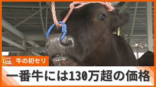 南部家畜市場で牛の初セリ　一番牛の価格は139万超　全国から牛の買い付けに訪れる