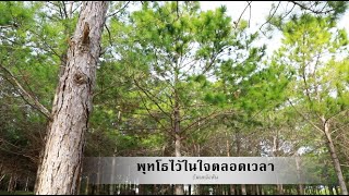 พุทโธไว้ในใจตลอดเวลา | พระมหาธีรนาถ อคฺคธีโร | ธัมมะจังหัน | 11 สิงหาคม 64