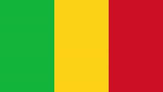 Mali at the 2013 World Aquatics Championships | Wikipedia audio article