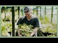 Living in the Fifth Dimension | Piha Native Seedling Nursery | Ep 26