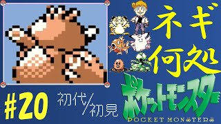 第二十話「おやゆびのあなをほるが強すぎる／カモネギちくわ説」初代ポケモン【緑】そっしーの初見プレイ