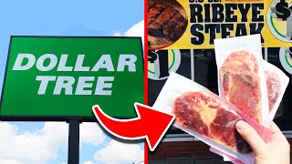 Top 10 BEST FOOD DEALS at Dollar Tree!