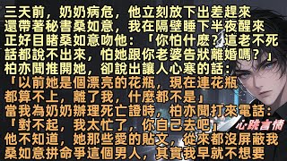 奶奶病危，柏亦聞放下出差趕來還帶著桑如意，我在隔壁睡下，半夜醒來正好目睹桑如意吻他：「你怕什麽？這老不死話都說不出來，怕她跟你老婆告狀離婚嗎？」柏亦聞推開她：「現在她連花瓶都算不上，離了我什麼都不是」