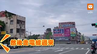 猴群出沒林內市區 攀電線「過馬路」民眾驚奇