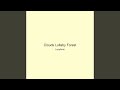 Clouds Lullaby Forest