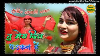 तु मेरा दिल की धड़कन है // सिंगर व शायर मुबीन दोहोली एन्ड चचंल मेंडम // NEW MEWATI SONG