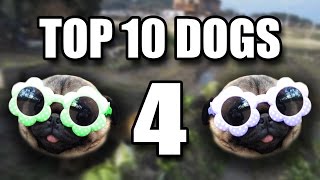 Top 10 Dogs 4